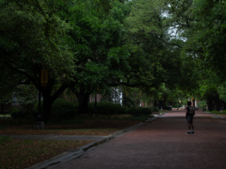 Wide Depth of Field